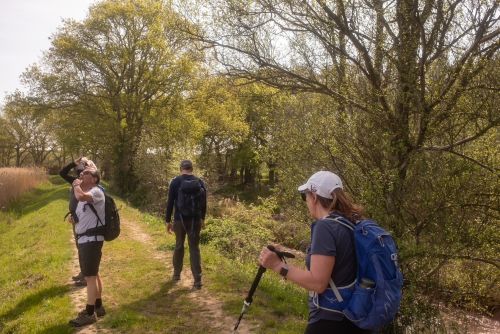 Weavers Way walkers enjoying the landscape
