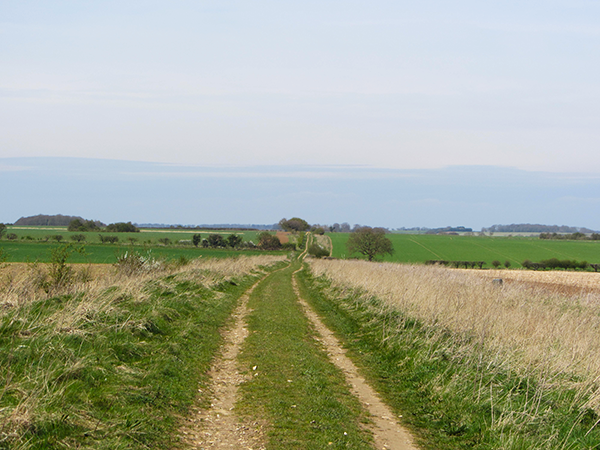 Undulating straight tracks
