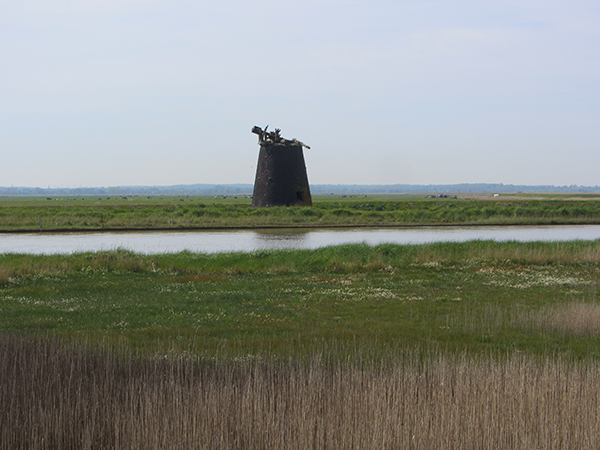 Derelict drainage mill Derelict drainage mill