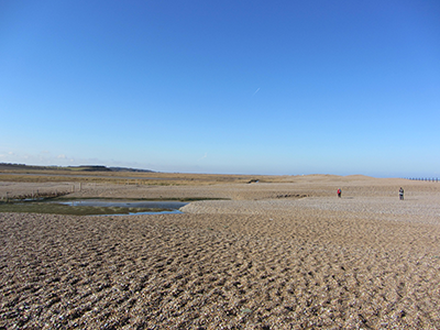 Expanse of Shingle from Cley to Weybourne