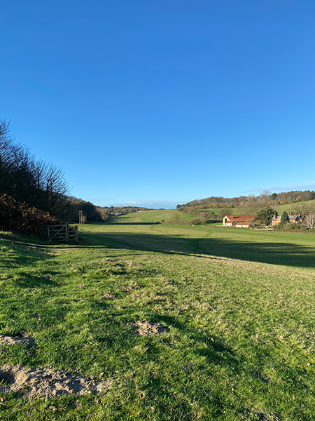 Norfolk walk out to Felbrigg Hall with a sea view! Norfolk countryside walk with a sea view