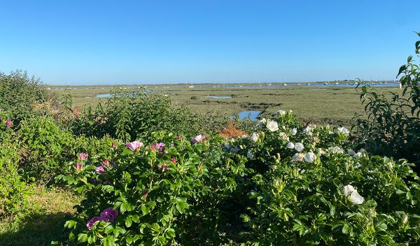 When is the best time of year to walk a long distance trail? When is the best time of year to walk a long distance trail?