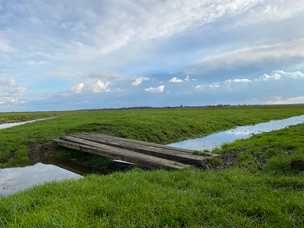 planks over dykes in the marshes
