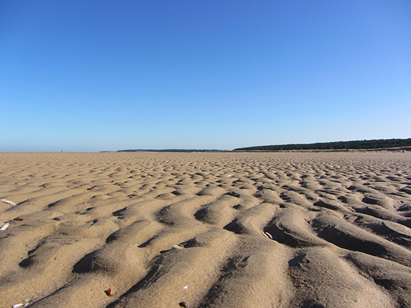 Holkham beach
