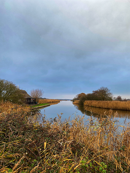 Norfolk Broads river and reeds