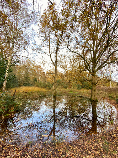 One of the historic Pingo Ponds One of the historic Pingo Ponds