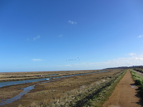 Saltmarsh path