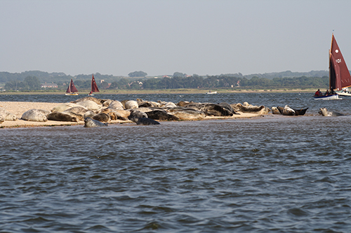 Blakeney Point spit