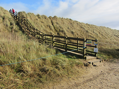 Seal viewing platform at Horsey Seal viewing platform at Horsey