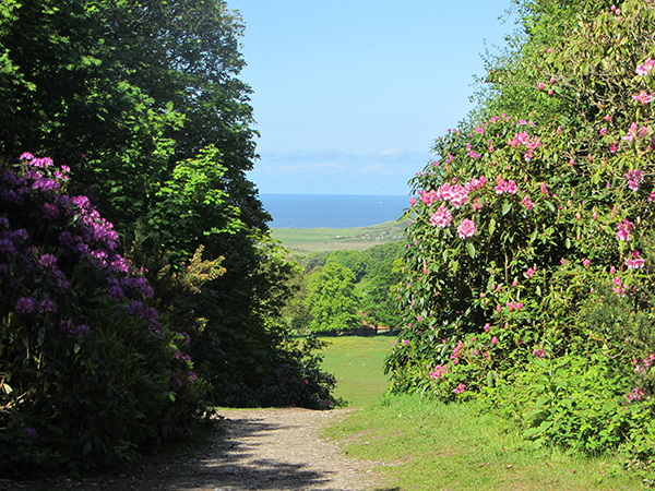 View of the sea from Sheringham Park