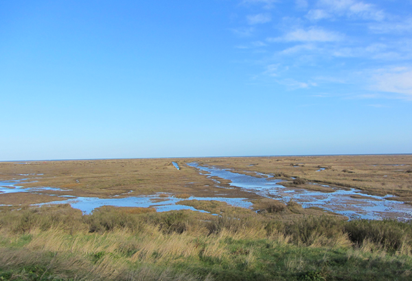 Saltmarshes on the Wells short break walking  holiday