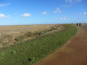 Norfolk Coast Path
