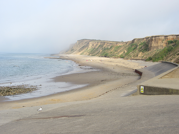 Discovery of the Steppe Mammoth found on West Runton Beach West Runton beach